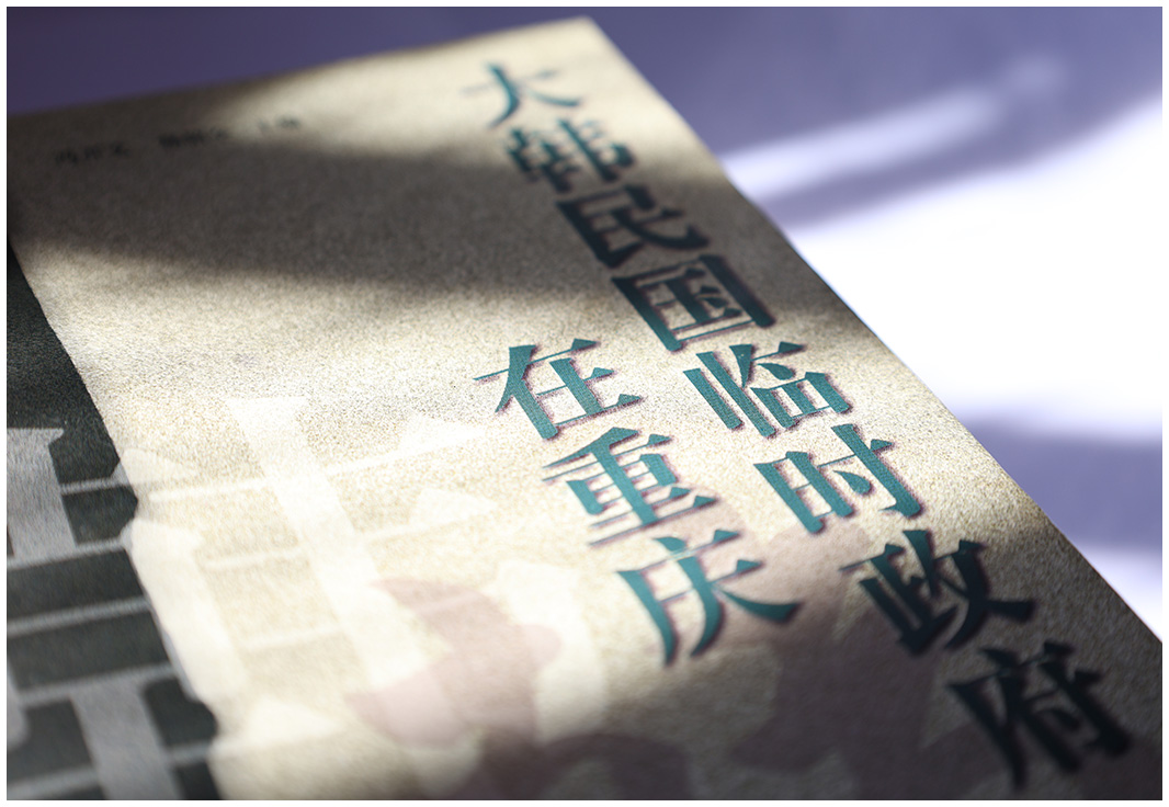 《大韩民国临时政府在重庆》